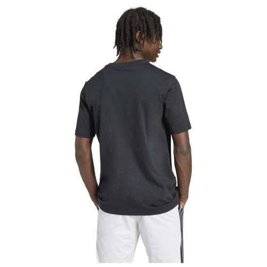 M PENNANT T